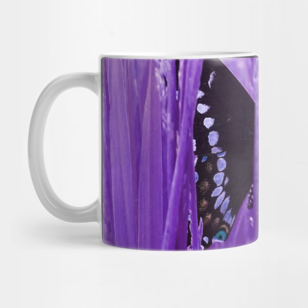 Purple Grass Swallowtail Butterfly by ARTWORKandBEYOND